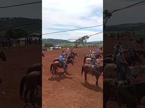 Disputa Do Melhor Laçador Em Barbosa Ferraz PR