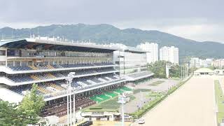 유튜브 썸네일