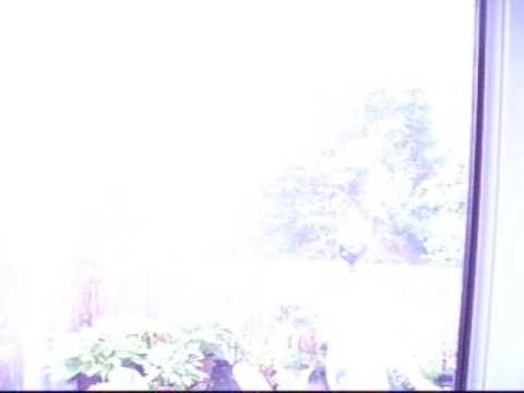 Heftiger Naheinschlag