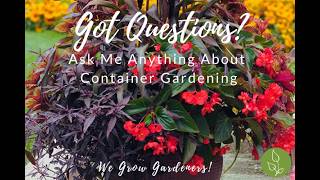 No Yard? No Problem — Container Gardening for Every Space #containergardening  #flowers #garden
