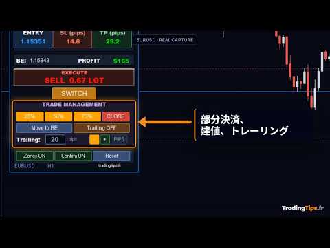 Video Trading Panel PRO MT5