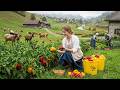Peaceful Countryside Life Harvesting Fruits And Vegetables Outdoor Cooking Simple Farm Living