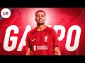 ? GAKPO naar LIVERPOOL: Hij kan dezelfde IMPACT hebben als Mané
