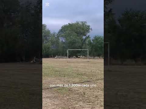 PRECIO DE OPORTUNIDAD: U$D 32.000 CADA UNO! Superficies generosas:Lote 1: 1.354 m²Lote 2: 1.374 m²