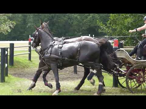 104 DE RONDE Anna, NED, Horse Pair, CAI 3# H2, Harich NED, Marathon Ob 7, 28 06 2025