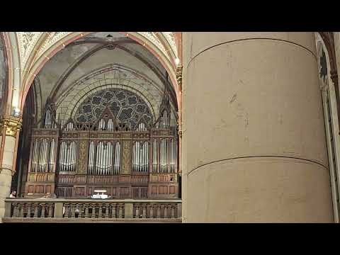 Szent Erzsébet Templom , Rózsák tere Orgona Avató Koncert 2025.09.20.