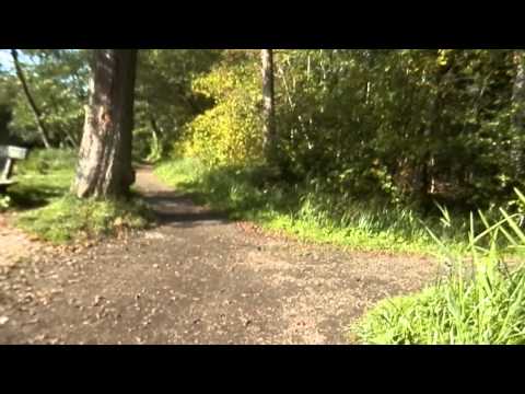 MongoTV_129 - Del 4 - Skovtur - Langs Kanalen Med Olsen i Skoven