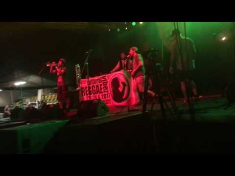 Cultural Reggae Vibez 2017 /  DJ MikkiM - Ft. Dave Trumpeter & MC Turner