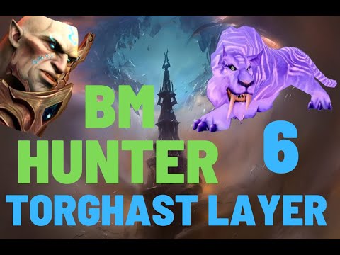 BM Hunter Torghast Upper Reaches solo run Layer 6