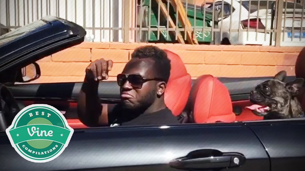 BEST VINE Compilation August 2015 #1 (w/ Titles) | Funny Vines Compilations Week 1 | New Videos HD