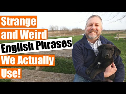 Strange English Phrases We Actually Use! English Idioms and Sayings!