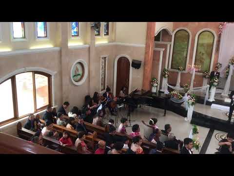 [MENTENG] Wedding Musician - Canon in D & The Wedding Song