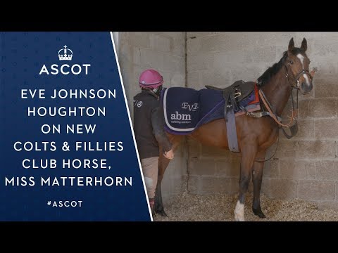Eve Johnson Houghton on new Colts & Fillies horse Miss Matterhorn