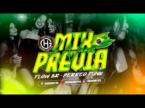 MIX PREVIA 🔥 FLOW BR & PERREO FUNK 🇧🇷 DJ GABII HOYOS