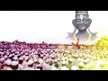 Ashadi Ekadashi Status