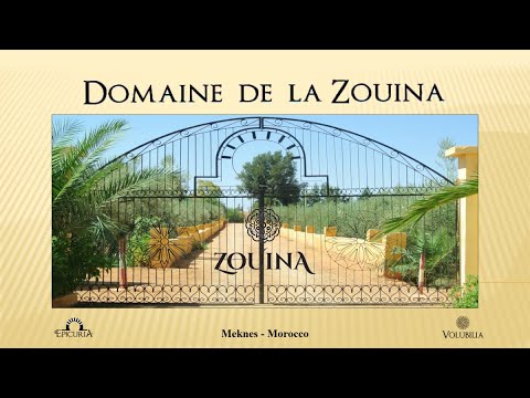 Focus on winegrowing in Morocco – History and Challenges  By Christophe Gribelin 20210629