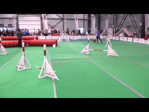 Royal Canin Cup, 27.04.14, А2, Буся, джампинг