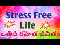 ఒత్తిడి రహిత జీవితం 19 golden rule no 11 stress free life 19