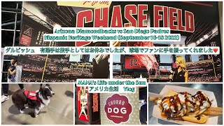 [Vlog] 9/16/2022 野球観戦 アリゾナ　ダイアモンドバックス対サンディエゴ　パドレス (ダルビッシュ)