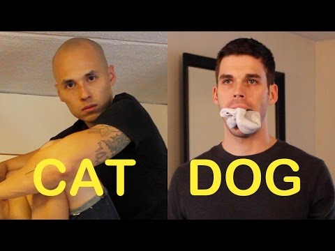 Kissaihminen vs. koiraihminen osa 3