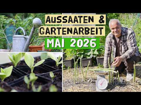 Aussaaten und Gartenarbeiten im Mai 2026 - Mulchen mit Hanf, Kohle aktivieren - Selbstversorgung