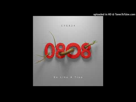 Cyga24 - i'mma try (feat. RT & 1der-KIID)