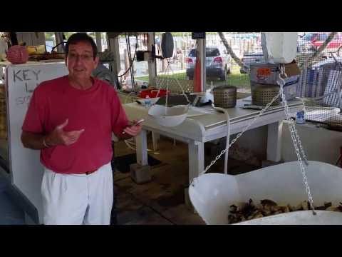 download lagu mp3 mp4 Best Stone Crab Delivery, download lagu Best Stone Crab Delivery gratis, unduh video klip Best Stone Crab Delivery