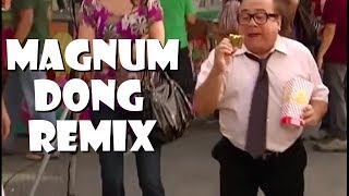 Magnum Dong - Remix Compilation #1