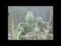 Sesame Street Episode 2301 4 Minute Clip