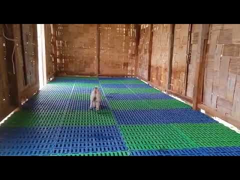 plastic slatted flooring used for goat farm