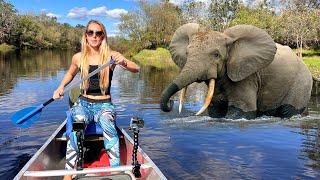 Paddling through the RIVER with African Elephants!! *Travel Vlog*