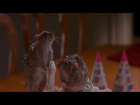 Two mice ran out of the birthday cake ranat girl's birthday