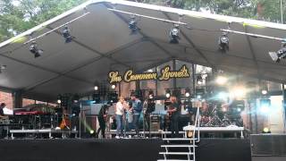 The Common Linnets - Days Of Endless Time