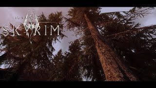 Realistic Forest in Skyrim | Skyrim SE Modded