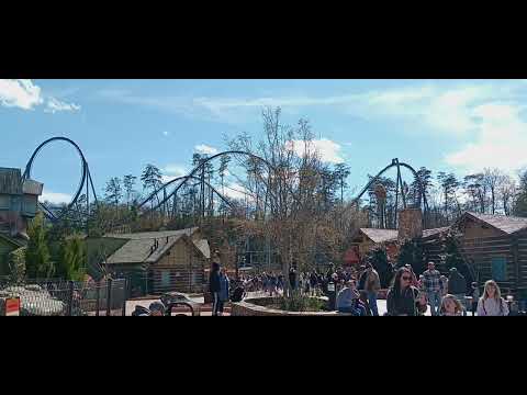 Wild Eagle short video by Olen Metcalf