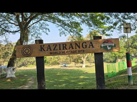 Beauty of KaZiranga National Forest 