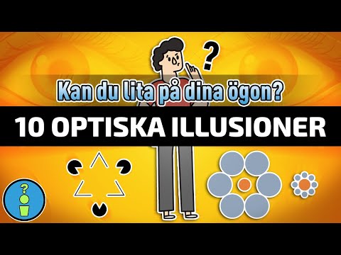 10 OPTISKA ILLUSIONER (SYNVILLOR)
