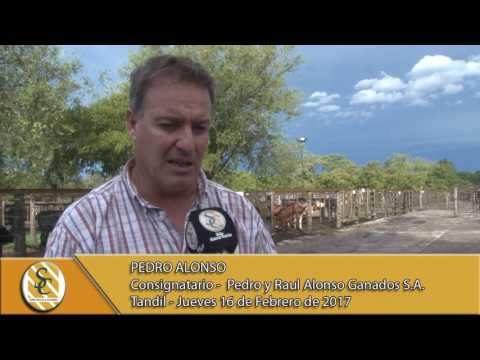 16-02-17 Nota Pedro Alonso - Pedro y Raul Alonso Ganados S.A. - Tandil.