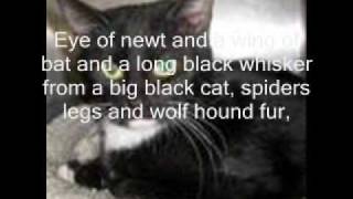 Witch's Brew-David Casper lyrics