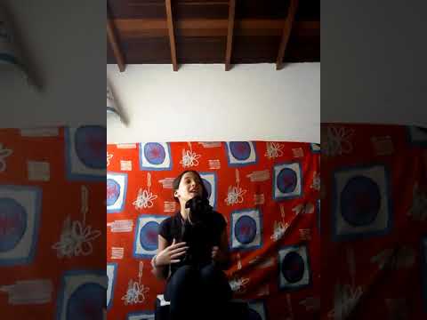 consejos de perritos