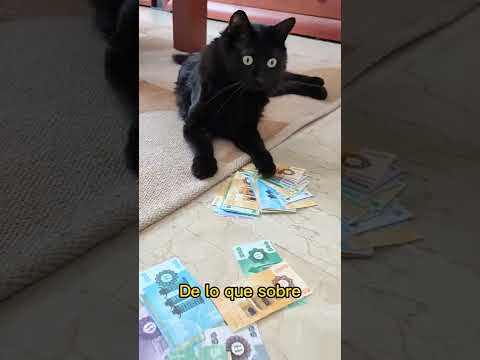 Ahí tienes para mi pollito