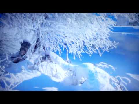 Wildlife.Travel. Terra unknown. Rest.