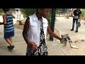 JOIN ME AT THE ZOO Birds