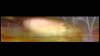 markus reuter " trepanation " no part of me could summon a voice