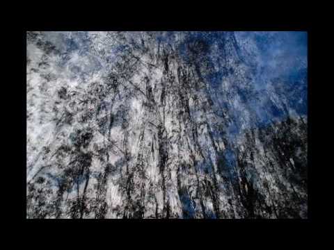 Hugo Vasco Reis | “Metamorphosis and Resonances for Accordion” by Paulo Jorge Ferreira (2017)