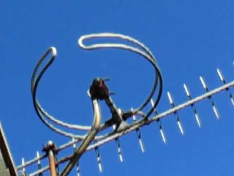 Tahoultine   Music Video By Cameron Davey