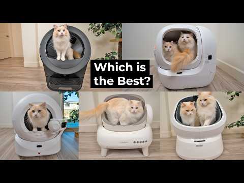 The Cat Butler preview