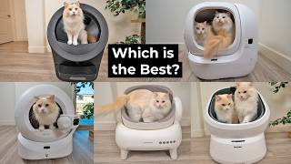 Which is the Best Automatic Litter Box in 2026? | The Cat Bu
