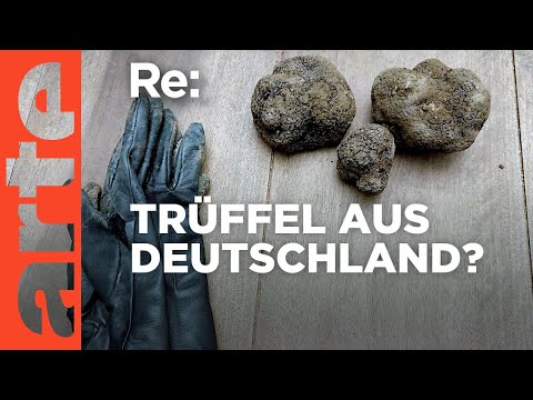 Video Thumbnail: Trüffelland Deutschland | ARTE Re: