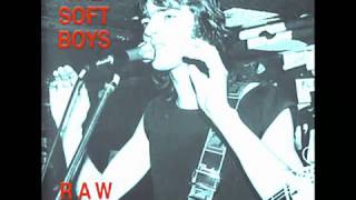 The Soft Boys - Disconnection of the Ruling Class